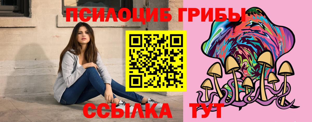 Галлюциногенные грибы GOLDEN TEACHER  Вход с VPN  Каменск-Шахтинский  Галлюциногенные грибы ЛСД 